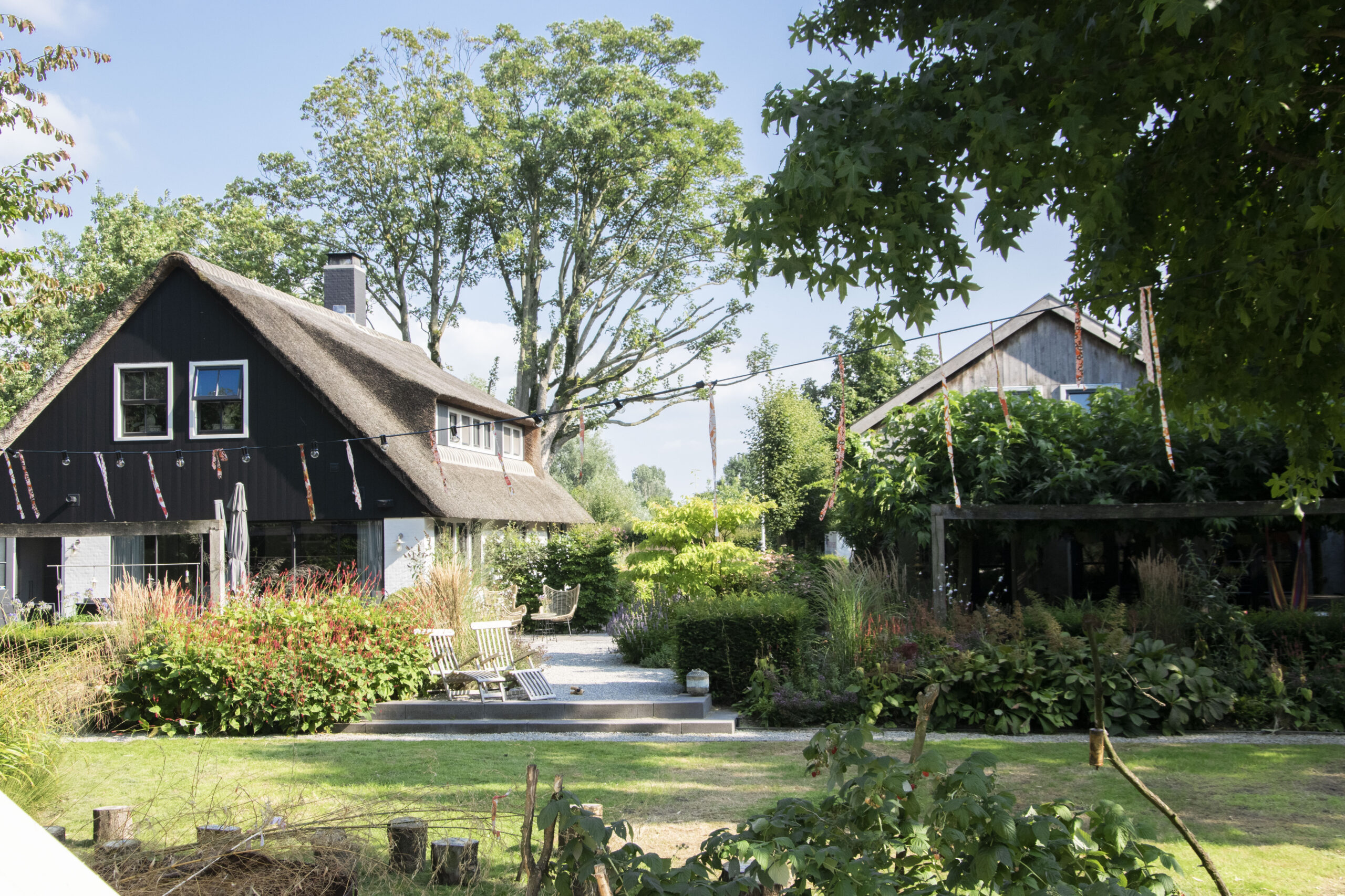 De-Tinusboom-voluit-leven-huachuma-ceremonies